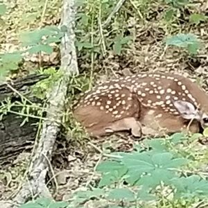 Meet your Posher, Jim